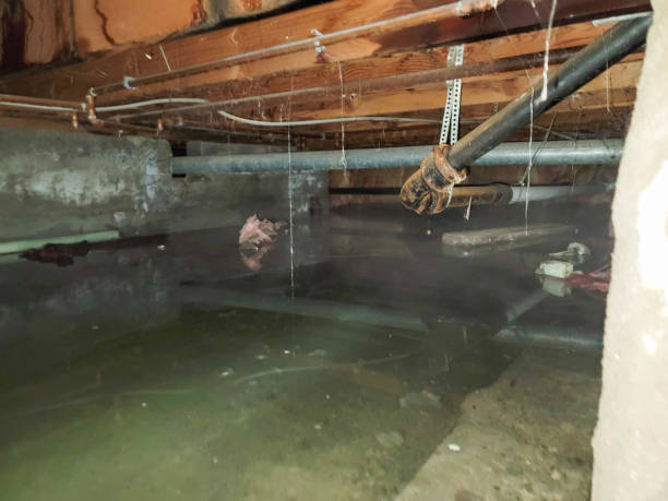 Water damage restoration experts in Britt, IA