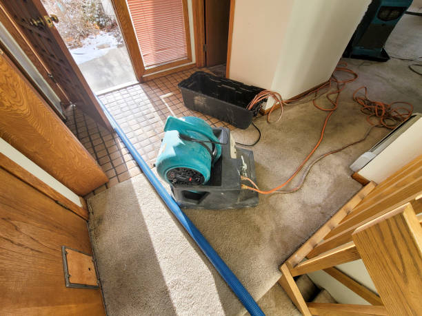 Best Carpet water damage restoration  in Britt, IA