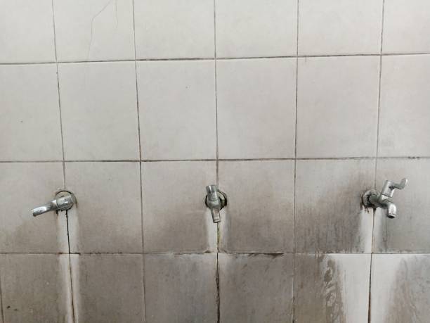 Best Water damage restoration services  in Britt, IA