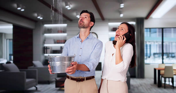 Best Professional water damage repair  in Britt, IA