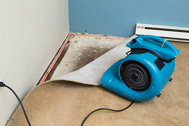 Britt, IA Water damage restoration Company